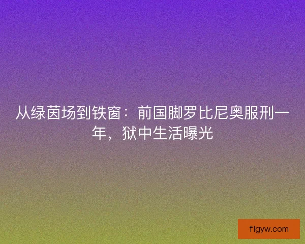 从绿茵场到铁窗：前国脚罗比尼奥服刑一年，狱中生活曝光