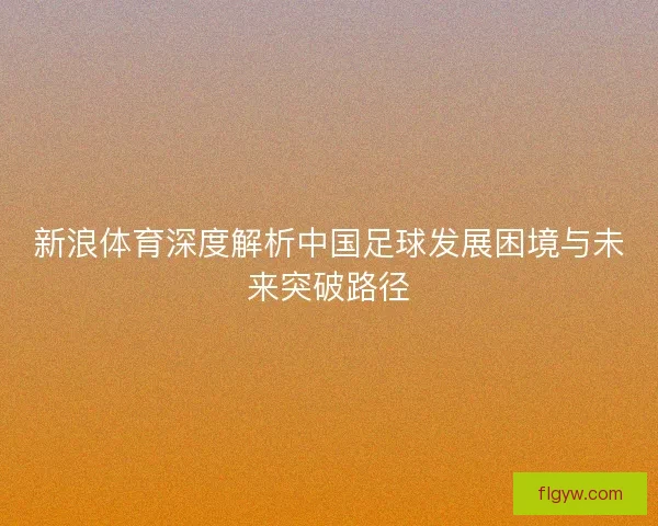 新浪体育深度解析中国足球发展困境与未来突破路径